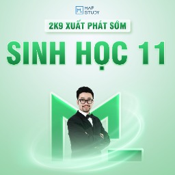 2K9 XUẤT PHÁT SỚM MÔN SINH HỌC - LỚP 11
